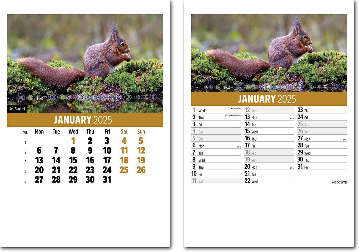 Wildlife Mini Desk Calendar