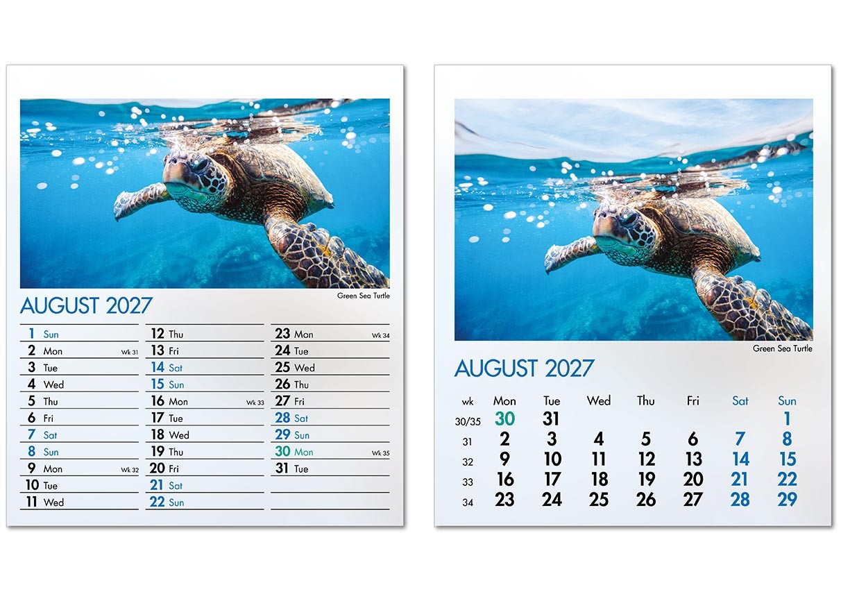 Blue Planet Mini Desk Calendar