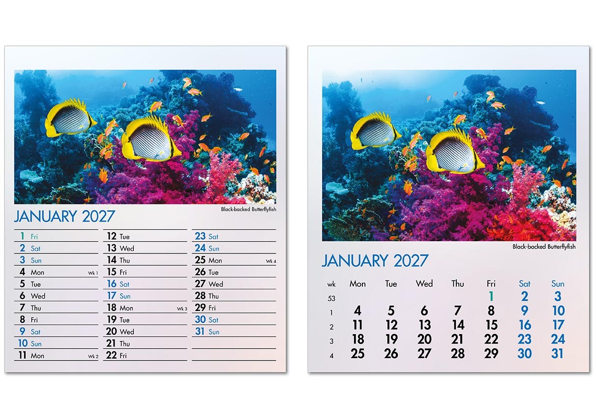 Blue Planet Mini Desk Calendar