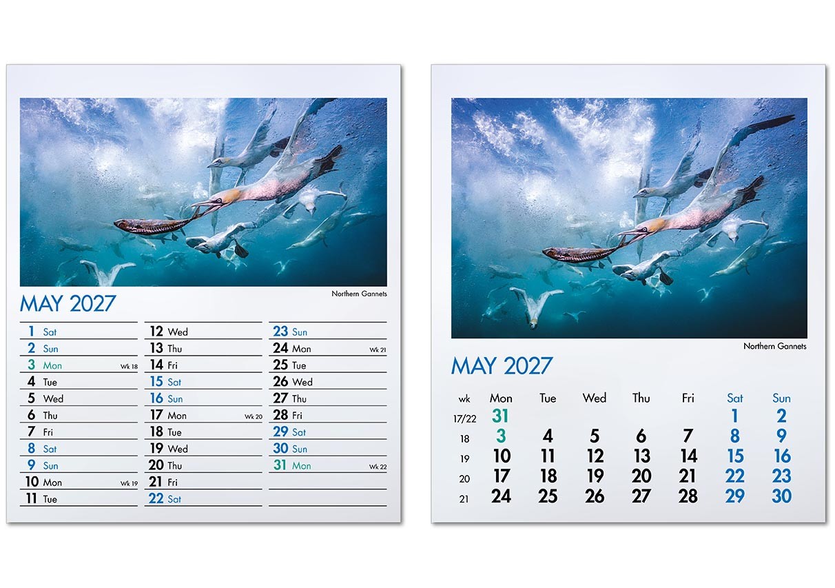 Blue Planet Mini Desk Calendar