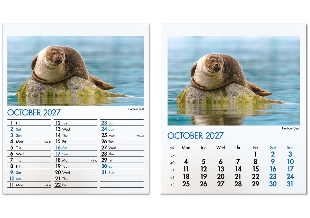 Blue Planet Mini Desk Calendar