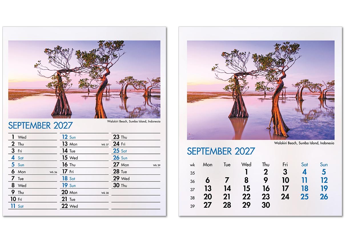 Blue Planet Mini Desk Calendar