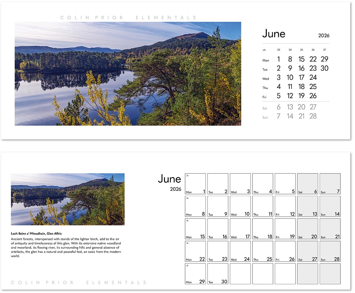 Colin Prior Elementals Desk Calendar
