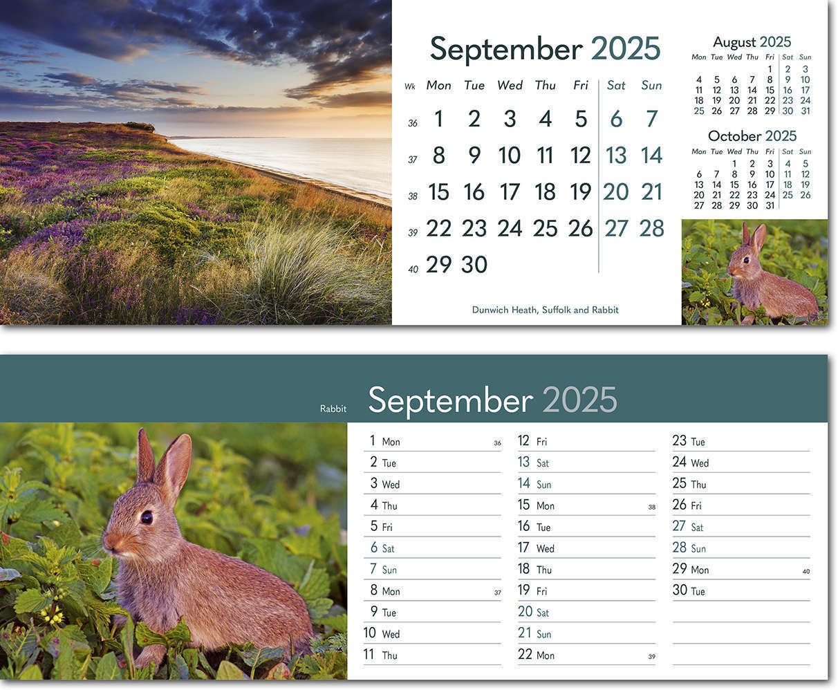 Rural Britain Note Station Desk Calendar 