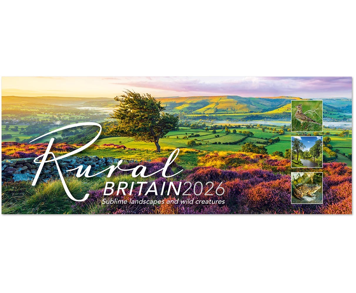 Rural Britain Desk Calendar