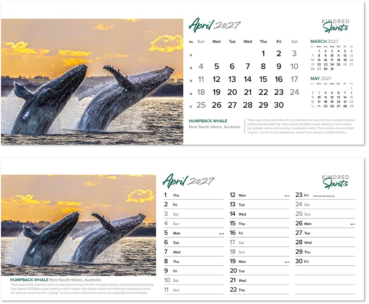 Kindred Spirits Desk Calendar