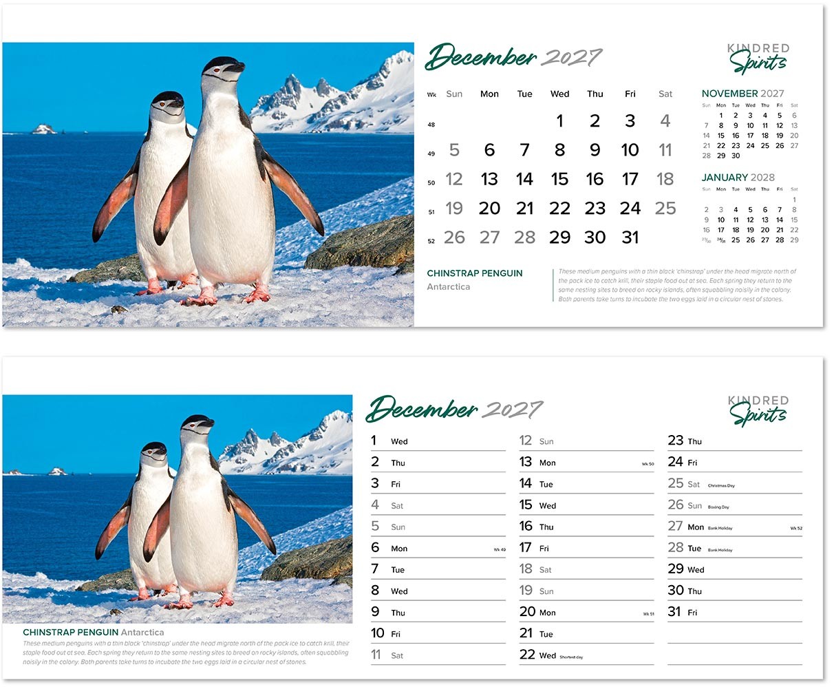 Kindred Spirits Desk Calendar