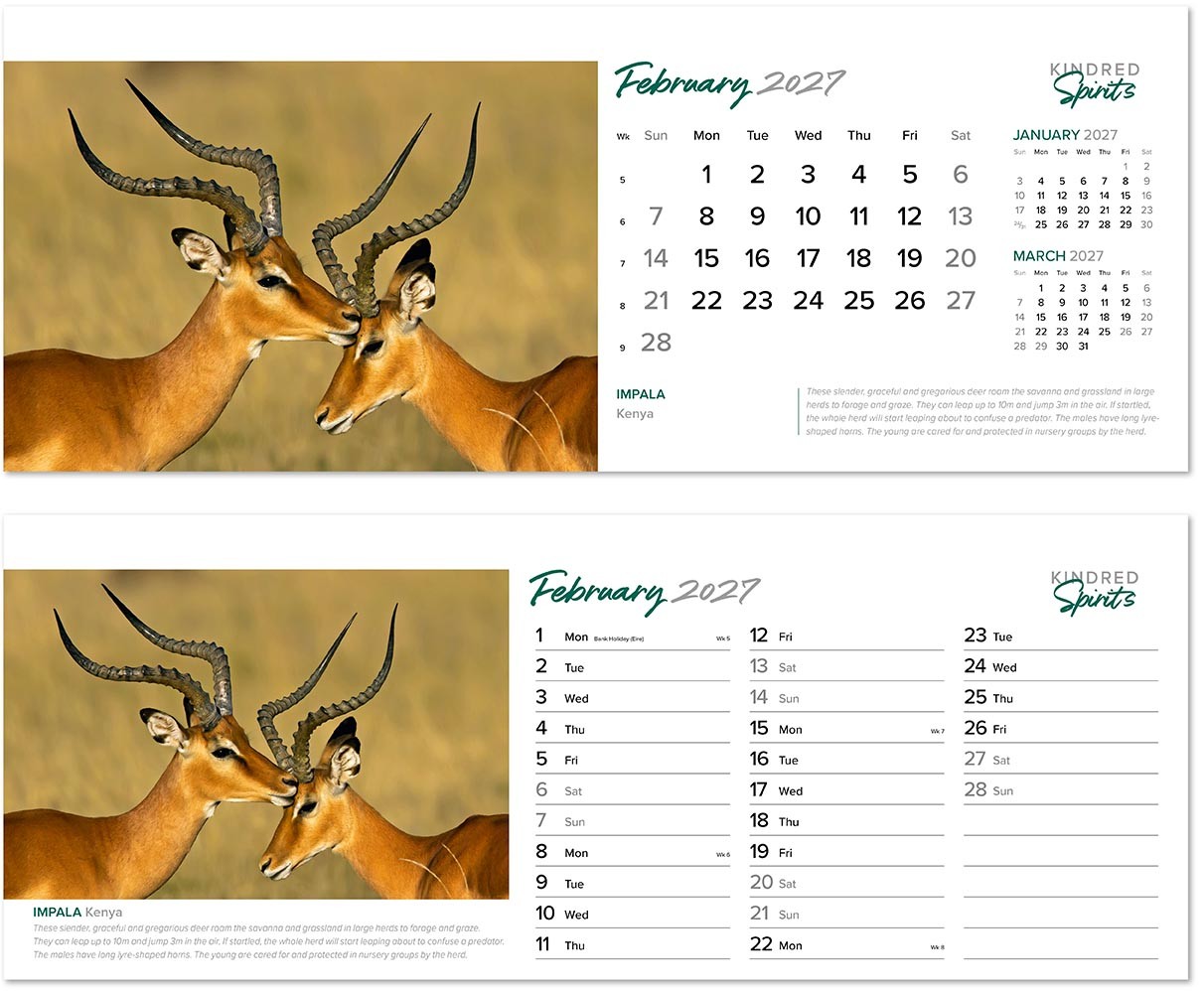 Kindred Spirits Desk Calendar
