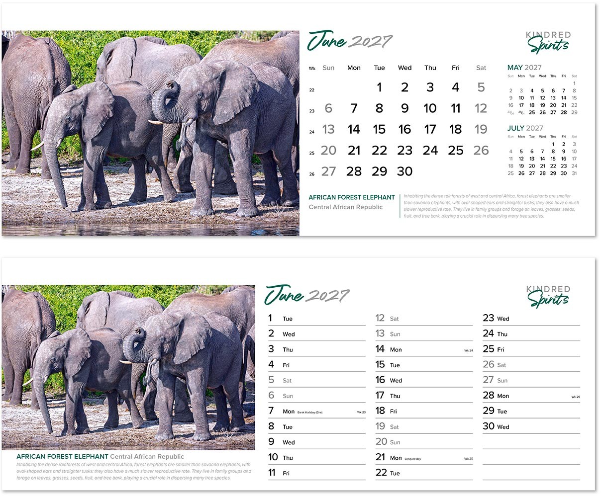 Kindred Spirits Desk Calendar