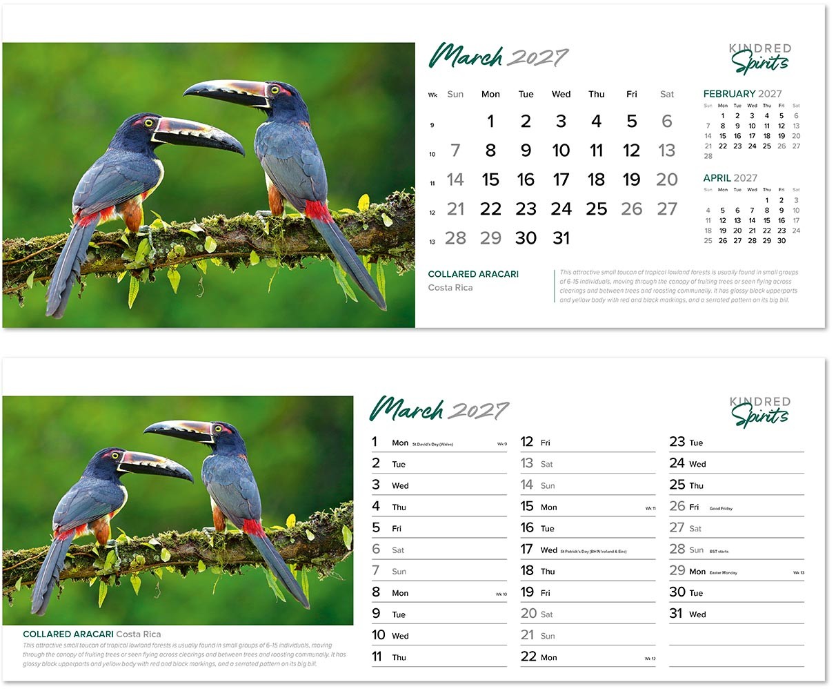 Kindred Spirits Desk Calendar