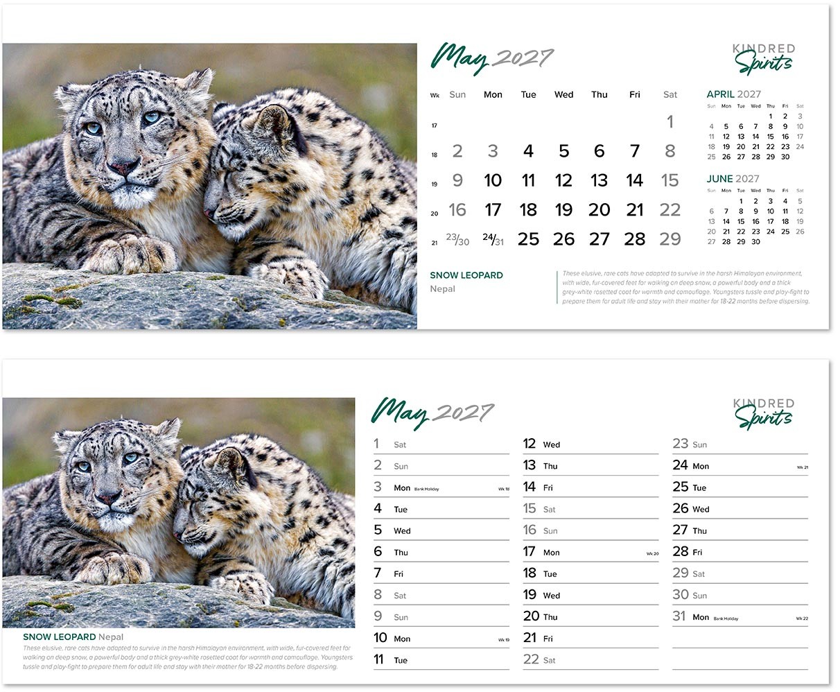 Kindred Spirits Desk Calendar