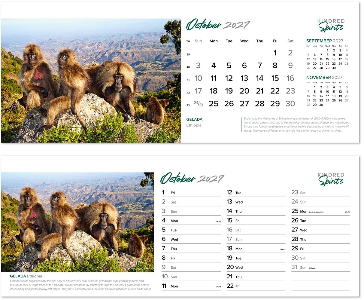 Kindred Spirits Desk Calendar