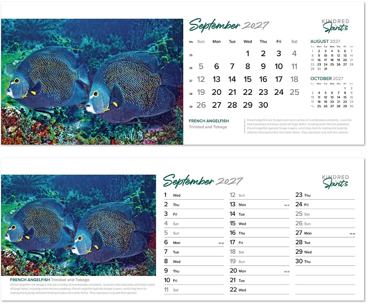 Kindred Spirits Desk Calendar