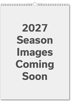 Bizarre World of Work Wall Calendar