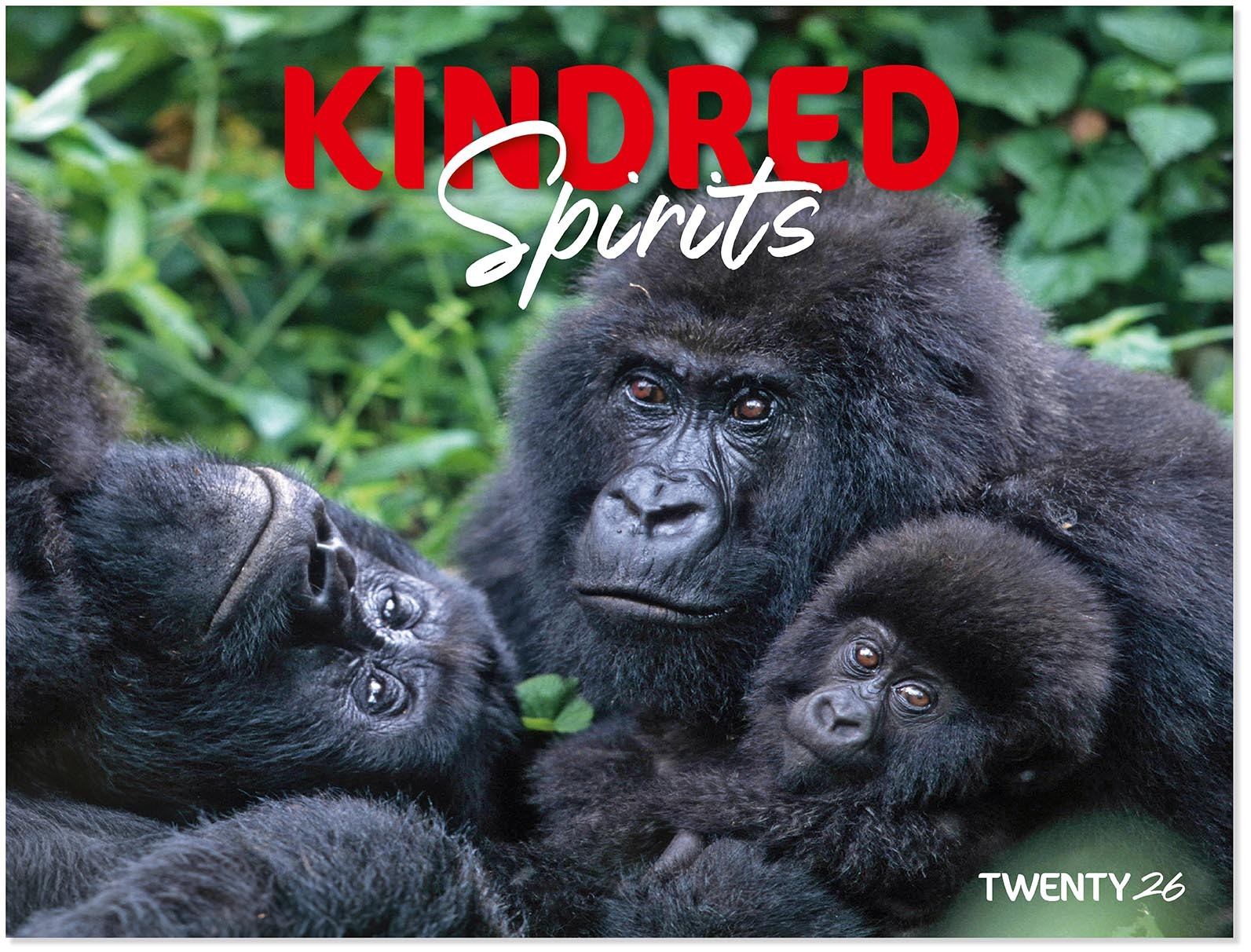 Kindred Spirits Calendar