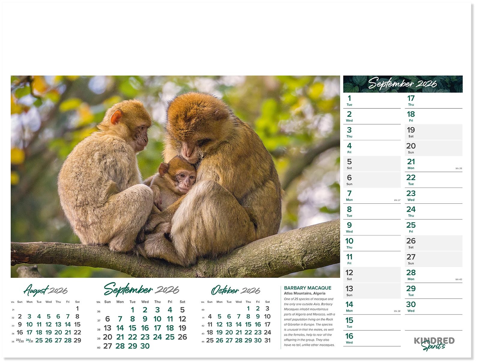 Kindred Spirits Calendar