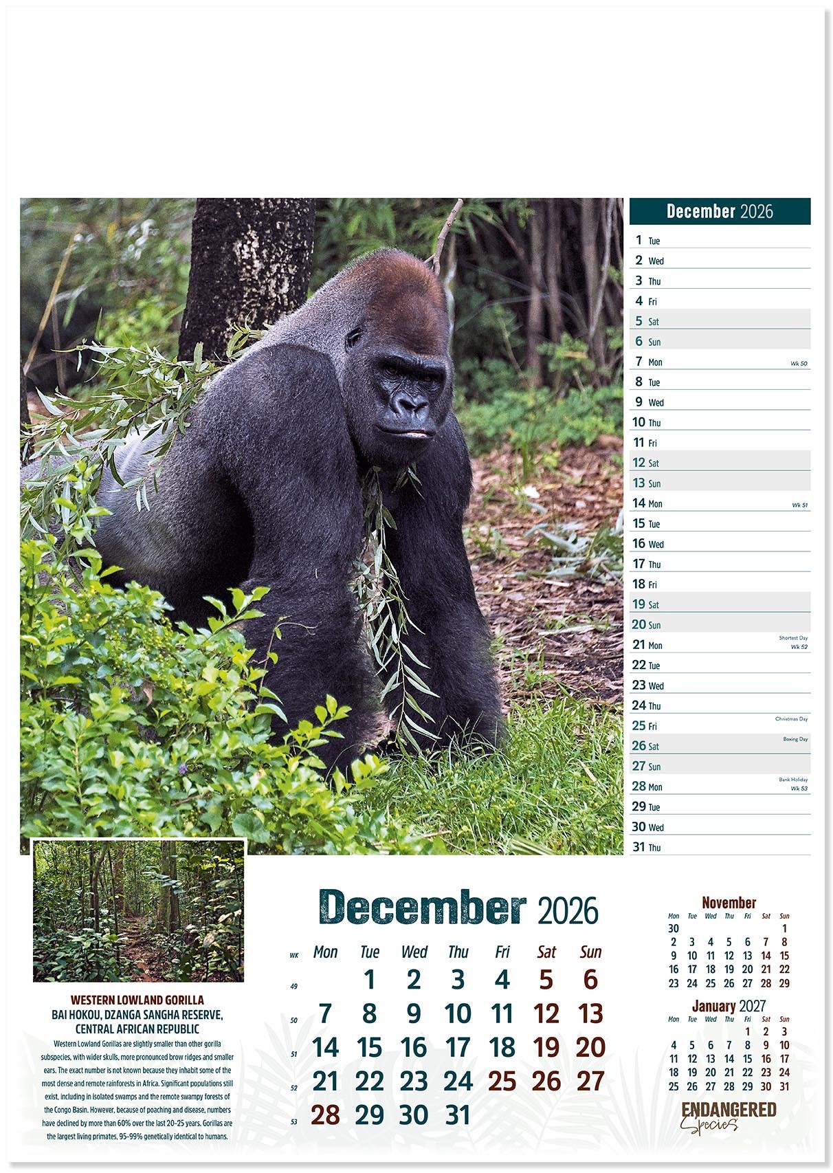 Endangered Species Calendar