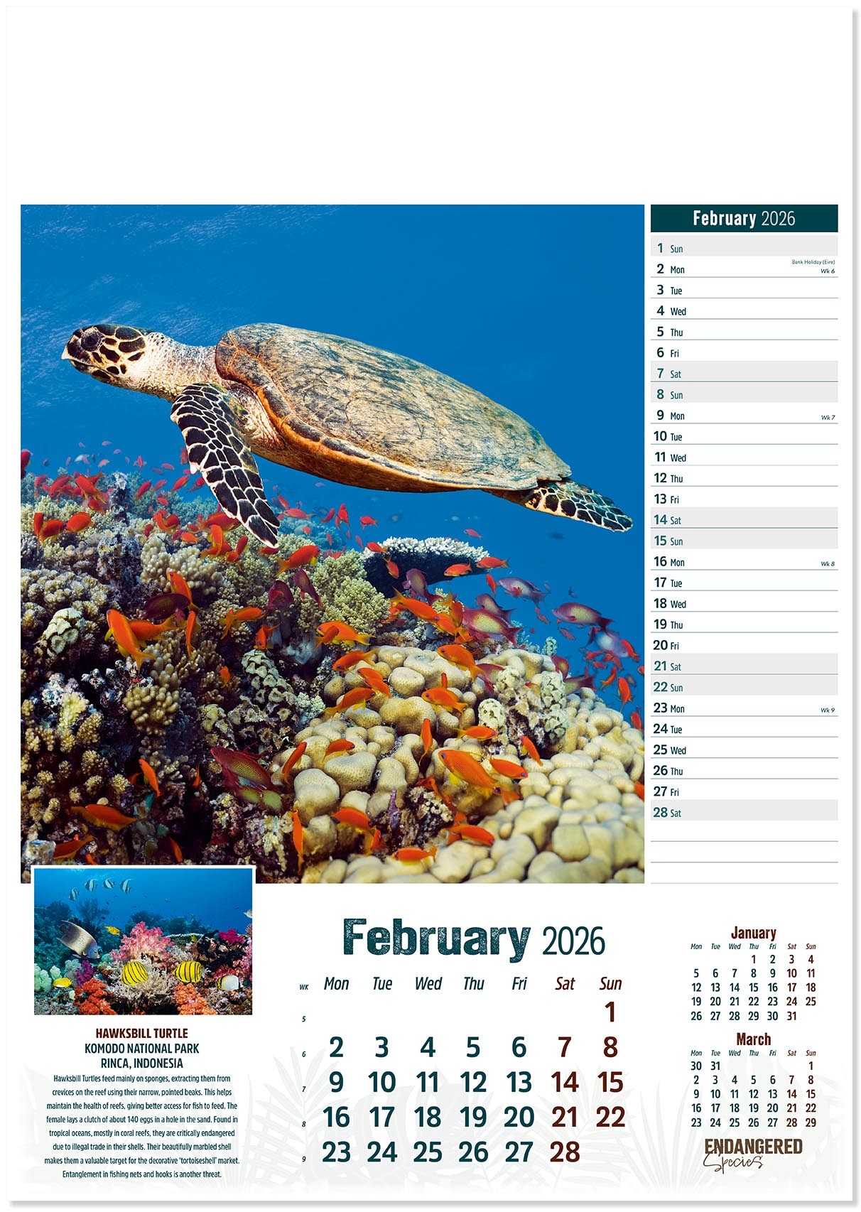 Endangered Species Calendar