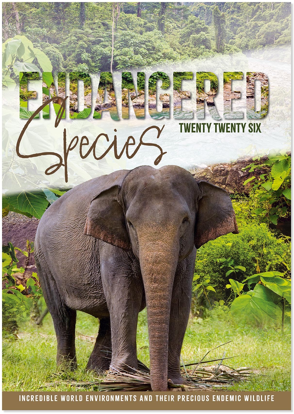 Endangered Species Calendar